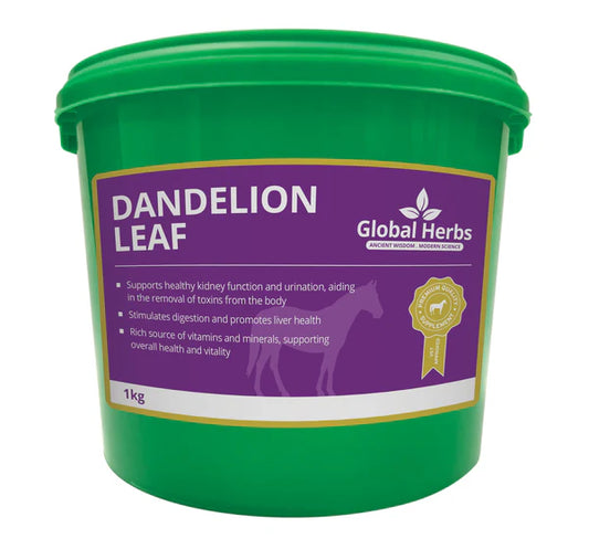 Global Herbs Dandelion Leaf 1KG