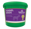 Global Herbs Fennel Seeds 1kg