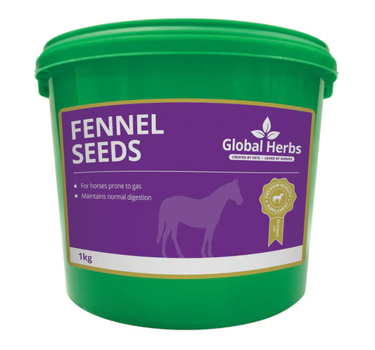 Global Herbs Fennel Seeds 1kg