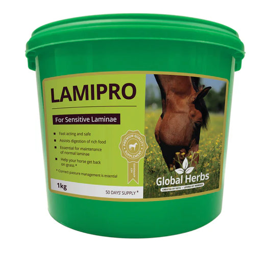 Global Herbs LamiPro 1 kg