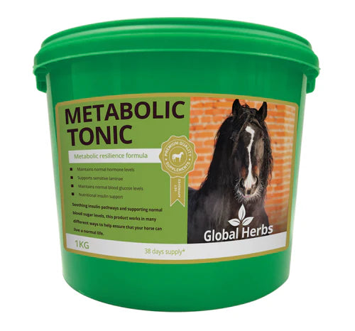 Global Herbs Metabolic Tonic 1 kg