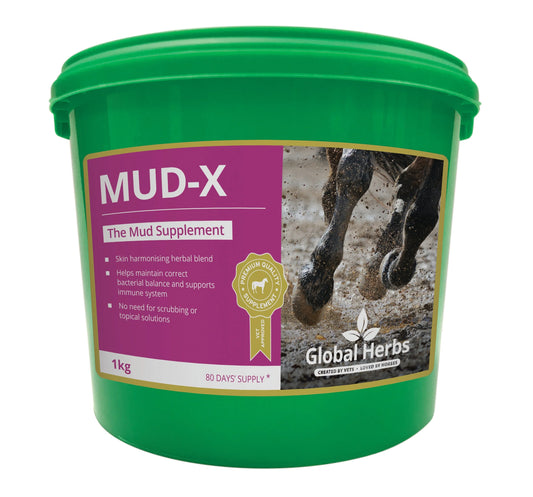 Green container of MUD-X supplement for horses with Global Herbs branding on a white background