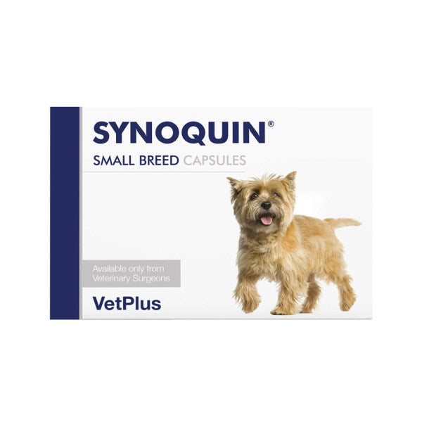 VetPlus Synoquin Capsules for Dogs Small Breed x 90