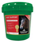 Global Herbs Gut Support 500g
