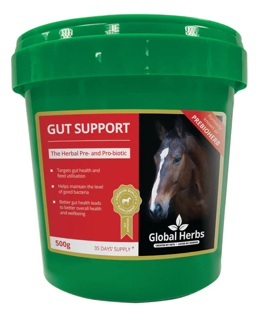 Global Herbs Gut Support 500g