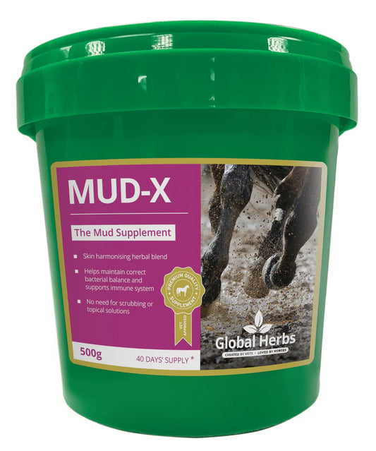 Global Herbs Mud X 500g