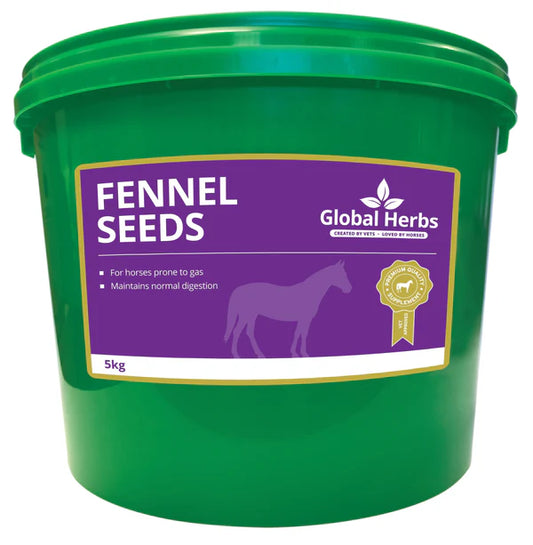Global Herbs Fennel Seeds 5kg
