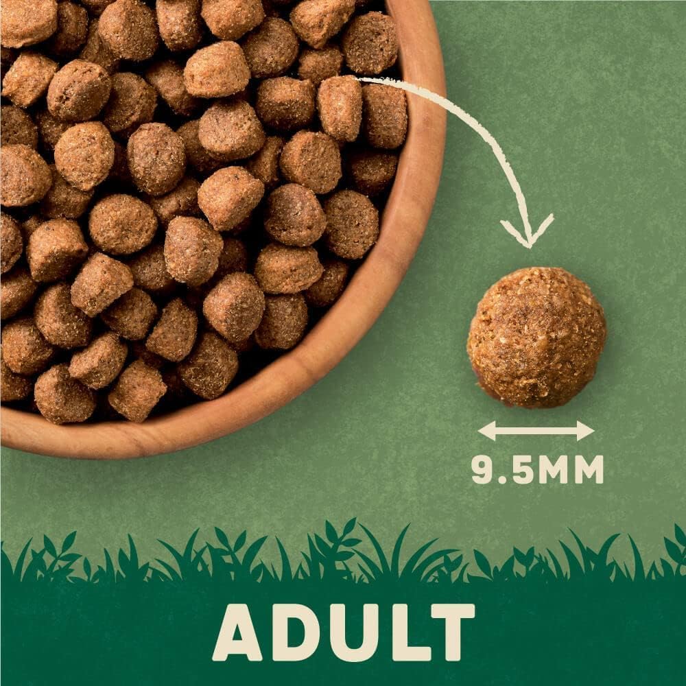 Harringtons Complete Dry Adult Dog Food Lamb & Rice 15kg - Made with All Natural Ingredients