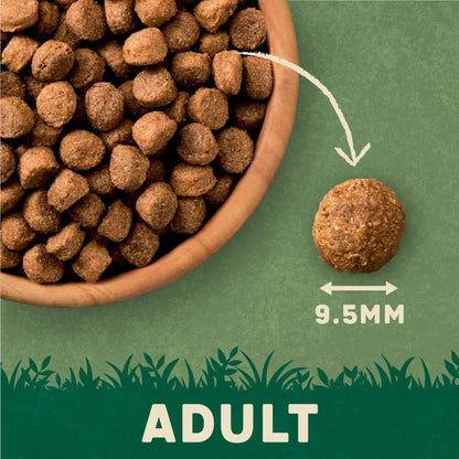 Harringtons Complete Dry Adult Dog Food Lamb & Rice 15kg - Made with All Natural Ingredients
