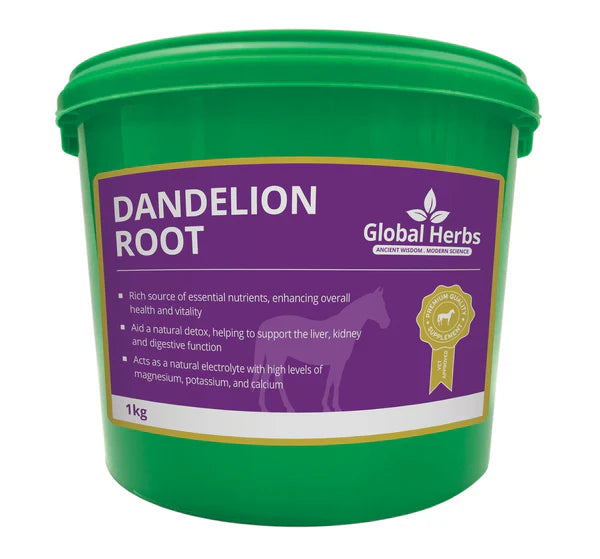 Global Herbs Dandelion Root 1KG