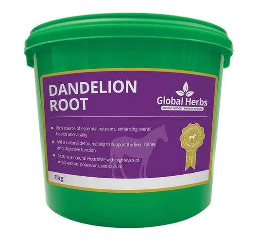 Global Herbs Dandelion Root 1KG