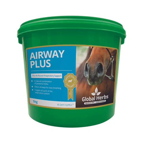 Global Herbs Airway Plus Powder 1 kg