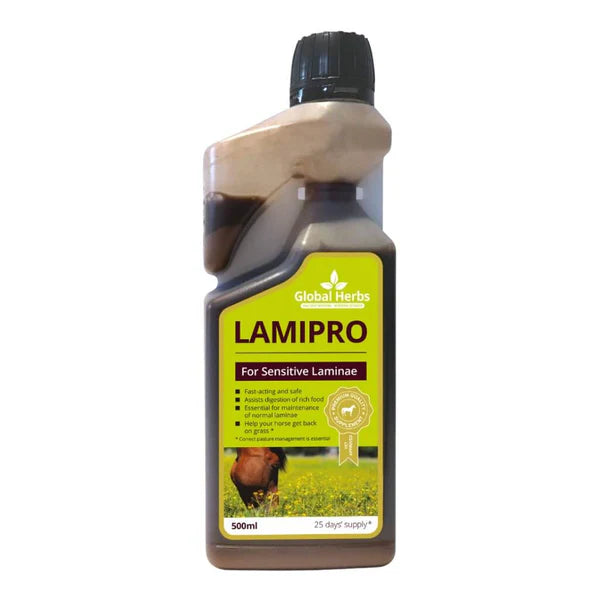 Global Herbs LamiPro Liquid Equine 500mL