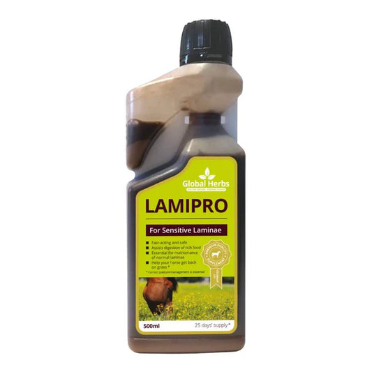 Global Herbs LamiPro Liquid Equine 500mL