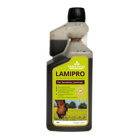 Global Herbs LamiPro Liquid Equine 1L