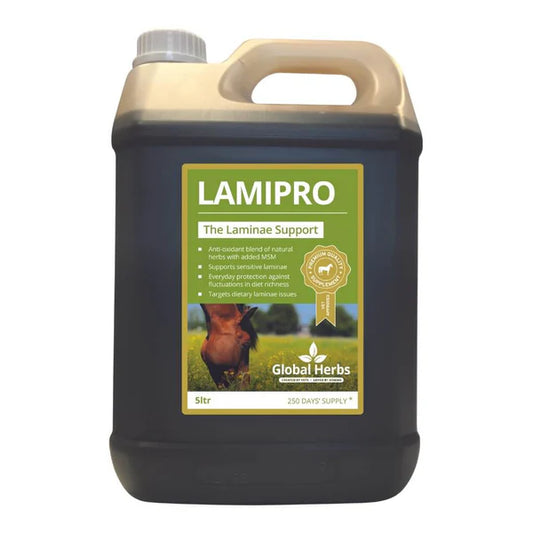 Global Herbs LamiPro Liquid Equine 5L