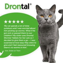 Drontal Wormer Tablets for Small & Medium Cats - Under 4kg - All Pack Sizes