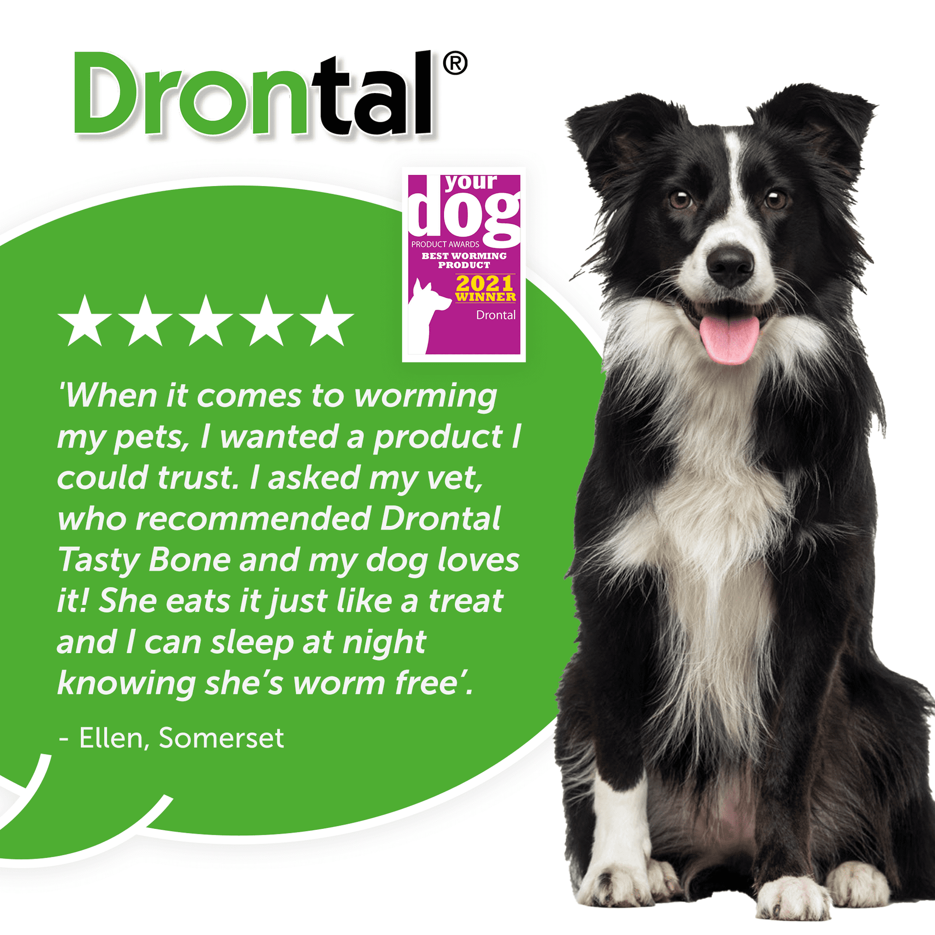 Drontal Tasty Bone Wormer Tablets for Small & Medium Dogs - 2 to 20kg All Pack Sizes